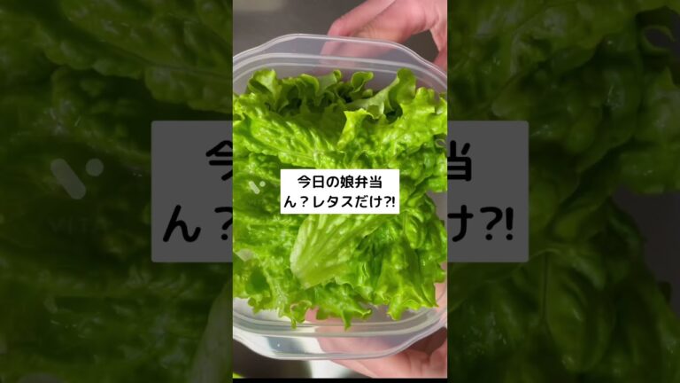 やばい危険なほど、どんどん痩せるかもww3キロダイエット中の娘弁当　レタスだけに見えるびっくり弁当　#short #shorts  カロリーオフ弁当