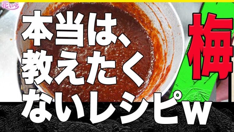 【悪魔的梅肉ダレ】居酒屋さんの梅ダレが簡単に出来るレシピです！