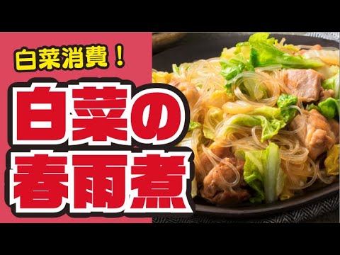 【白菜たっぷり☺️！】白菜と鶏肉の春雨煮の作り方