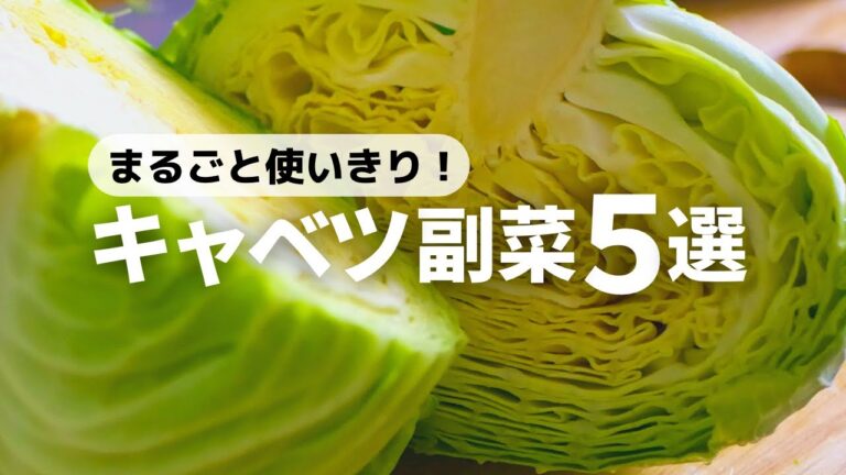 【大量消費】キャベツ１玉使い切り！パパッと作れる副菜5品