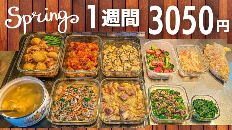 【節約レシピ】食費抑えたい人必見！1食100円台作り置きおかず #120