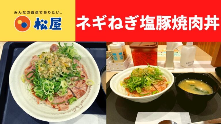 【人類が作った最高傑作の動画】松屋 ネギねぎ塩豚焼肉丼