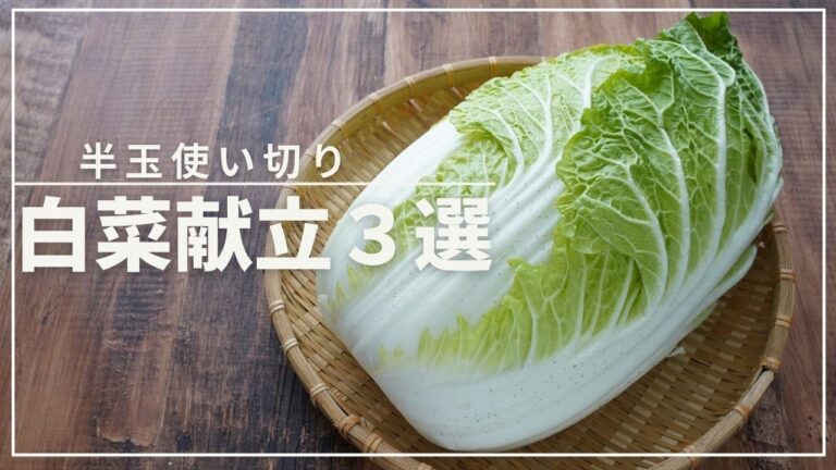 【白菜レシピ３選】材料２つの簡単おかず！作りおきもできる晩ごはん献立３日間