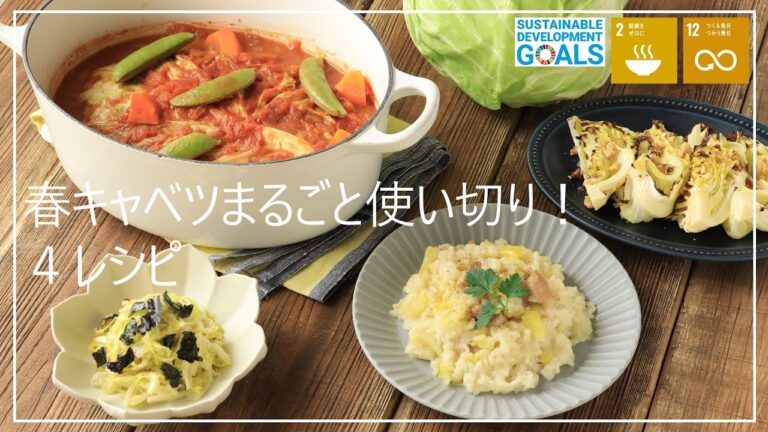 今が美味しい！春キャベツ丸ごと１玉使いきり♪４レシピ【SDGs】【簡単】【作りおき】