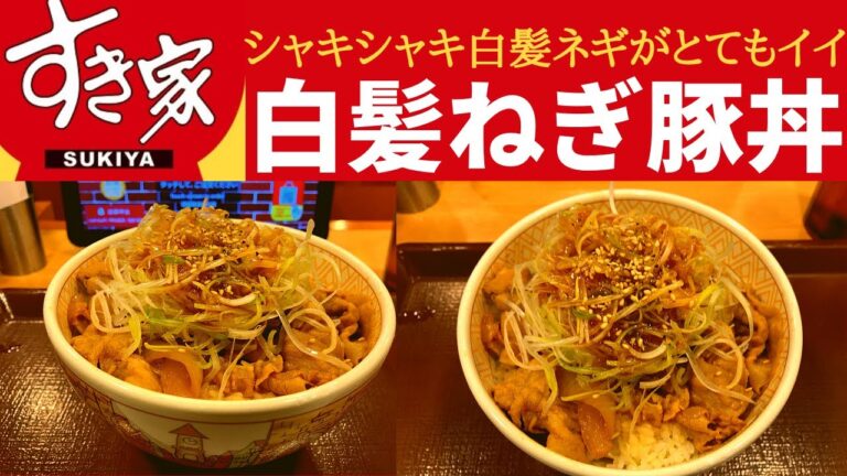 【世界一面白いYouTube・食レポ】すき家 白髪ねぎ豚丼