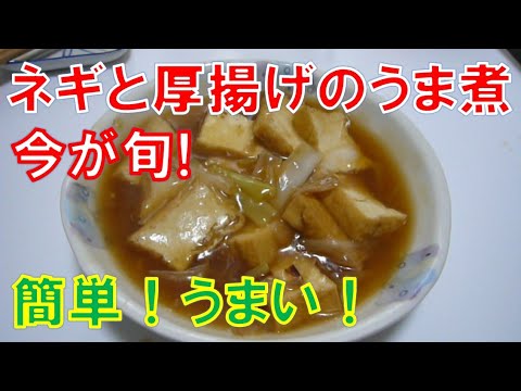 ネギと厚揚げのうま煮 旬のネギがうま～い！