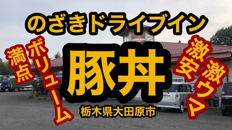 のざきドライブイン（栃木県大田原市）激安！ボリューム満点の豚丼！だった550円で腹パンになる！