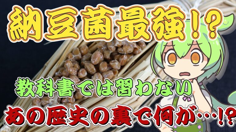 【実話】納豆誕生秘話！納豆菌最強伝説！後三年の役の裏で何があったの？【ずんだもん&ゆっくり解説】