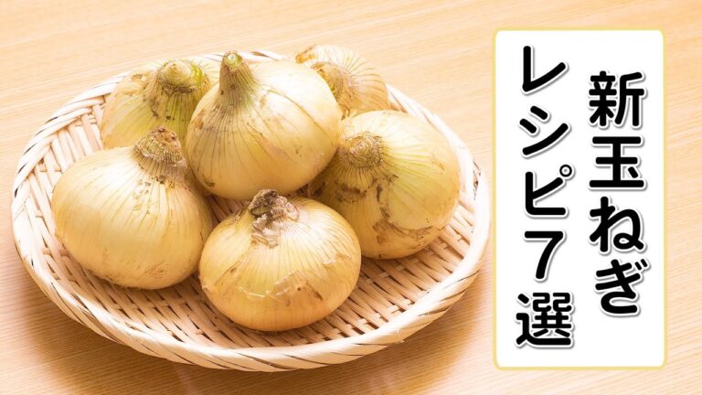 【新玉ねぎレシピ7選】春が旬の食材を美味しく料理♪【大量消費にも！】