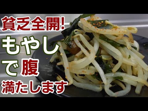 コスパ最強！もやしをレンチンするだけで超美味しい♪お浸しを食べてください！