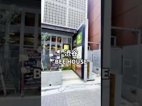 渋谷グルメ【ゴルゴンゾーラチーズピザにチーズフォンデュにスイーツが食べ放題１８００円！】BEE HOUSE