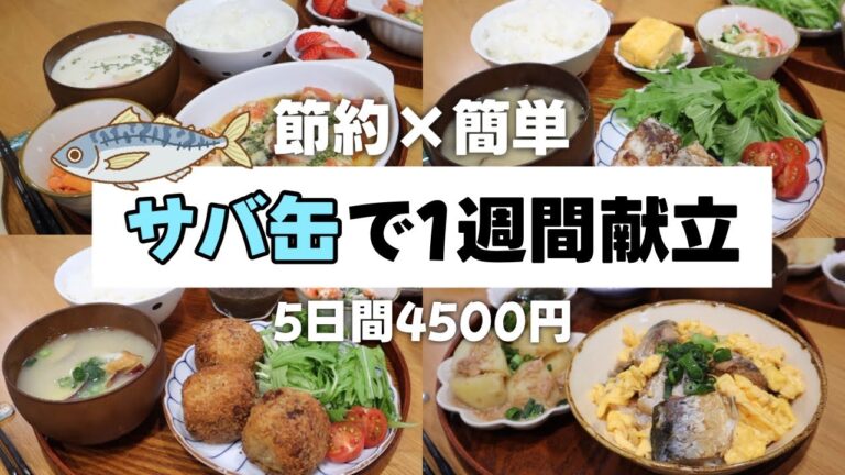 【4人家族の夜ご飯】5日間4500円で栄養満点！鯖味噌煮缶メインの夕飯献立【簡単レシピ/2歳児2人/ワーママ/鶏肉/食費4万/食費節約術】