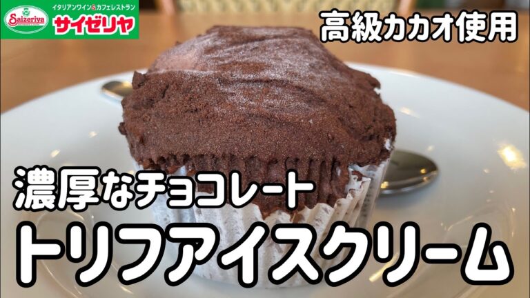 【トリフアイスクリーム】100日間サイゼリヤ生活【濃厚なチョコアイス】【40日目】