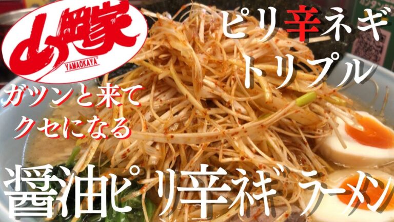 【ラーメン山岡家】醤油ピリ辛ネギラーメンに更に白髪ネギをトリプルネギ盛り！ライスにも乗せてネギ丼に♪【岐阜 ラーメン】