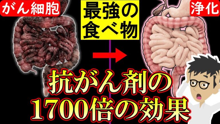 【科学的根拠あり】がん細胞を消滅させる食べ物3選！癌の増殖・転移を阻害【悪性新生物｜すい臓がん｜大腸がん｜胃がん｜原因】