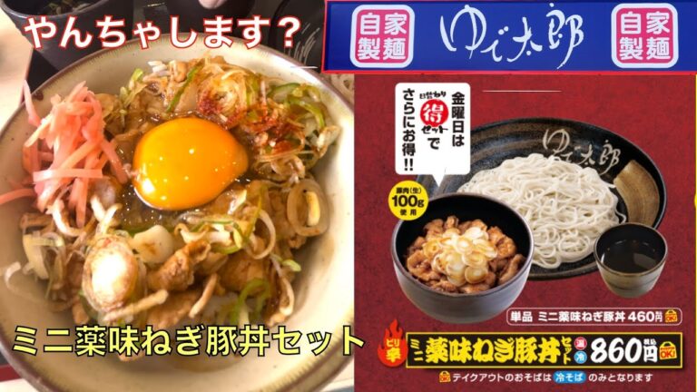 【ゆで太郎】N0.201.    薬味ねぎ豚丼セットを食す　　　＃1649