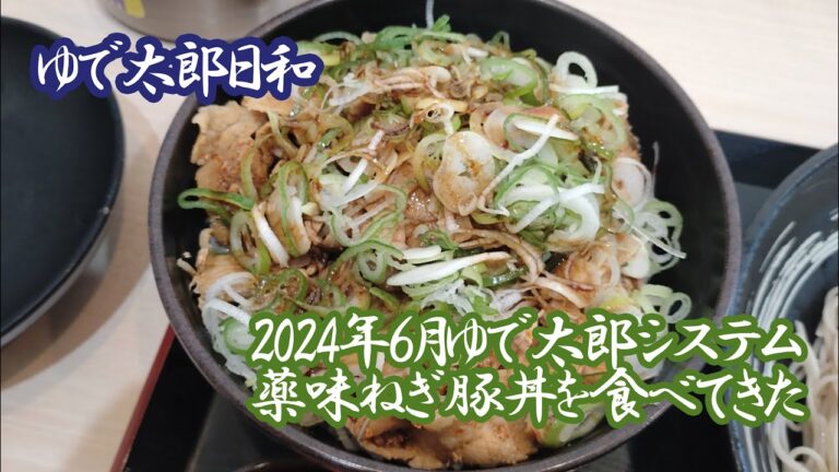 ゆで太郎システム待望の新メニュー！満腹薬味ねぎ豚丼セットを食べてきた