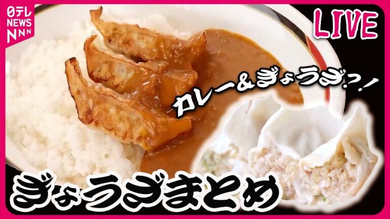 【ぎょうざまとめ】うまい!安い!早い!北海道民のソウルフードぎょうざカレー/ラーメン＆ギョーザ＆チャーハン夫婦二人三脚の人気店/東京駅前の “ジャンボ餃子”　など （日テレニュース LIVE）