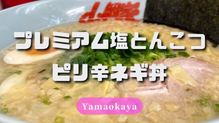 【山岡家】深夜のプレミアム塩が最高でした【ピリ辛ネギ丼】