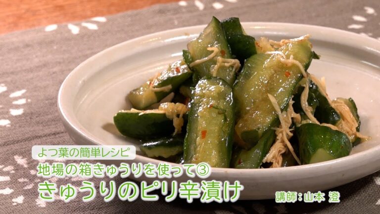 よつ葉の簡単レシピ　地場の箱きゅうりを使って「きゅうりのピリ辛漬け」　#料理 #簡単レシピ #レシピ #きゅうり