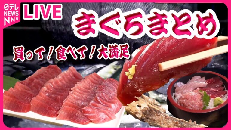 【まぐろまとめ】メニューはマグロ丼だけ！高級寿司店監修の専門店/希少部位で作るマグロ料理/マグロ命の親子３代料理人　など（日テレNEWS LIVE）