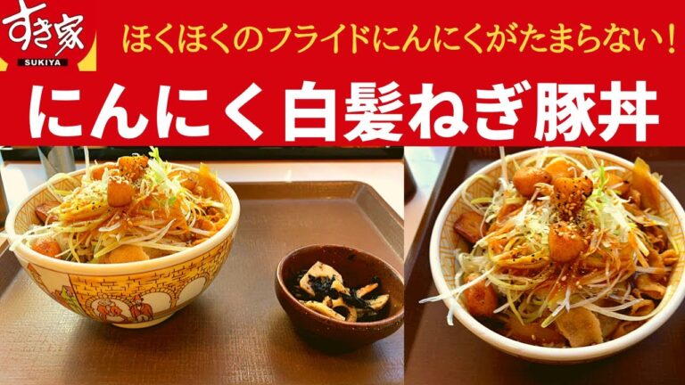 【世界一面白いYouTube・食レポ】すき家 にんにく白髪ねぎ豚丼・季節のひじき煮