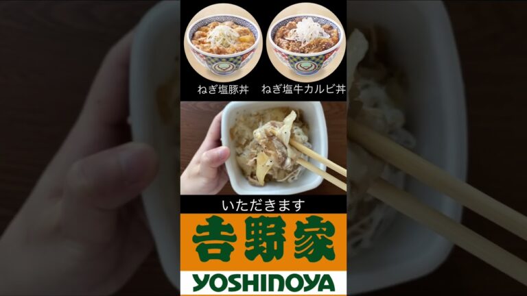 【冬季限定】吉野家「ねぎ塩牛カルビ丼」「ねぎ塩豚丼」