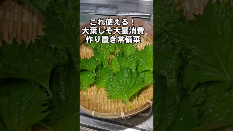 凄い使える！大葉しそ大量消費に調味料ふたつ！簡単作り置き副菜レシピ 素麺、冷奴、お弁当、おにぎり等