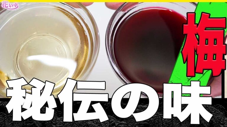 【自家製梅酢ダレ】梅酢を使って！凄技レシピ連発！簡単に出来るので作って下さいね