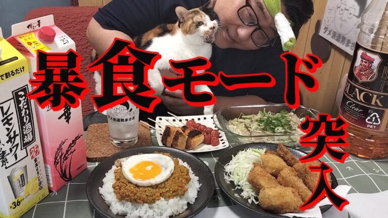 【暴走する食欲、チートディ】猫と楽しむ晩酌が楽しすぎて、止まりません【揚げ物と炭水化物】