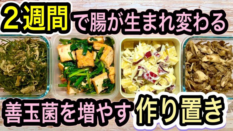 【2週間で激変】善玉菌が増える簡単作り置きレシピ4品！腸が元気になると嬉しい効果5つ