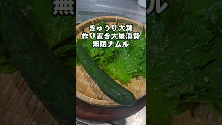 すげぇうまい！きゅうりと大葉のやみつき無限ナムル。簡単おつまみ副菜作り置き常備菜 大量消費 人気レシピ