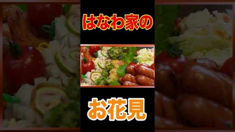 ママの手作り弁当🍱（大盛り）持って【はなわ家のお花見🌸】※飯テロ注意【ママの弁当テク炸裂】【彩りおかず】【大葉とチーズとハムのちくわ巻き】【わかめごはんおにぎり】【大葉入り卵焼き】 #short