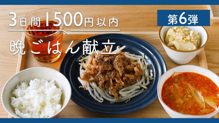 【第6弾！1500円で3日分節約晩ごはん献立】もやし棒餃子定食・ペッパー豚もやし定食・鶏むね肉のみぞれ煮定食。簡単に作れて家計にも嬉しいレシピ