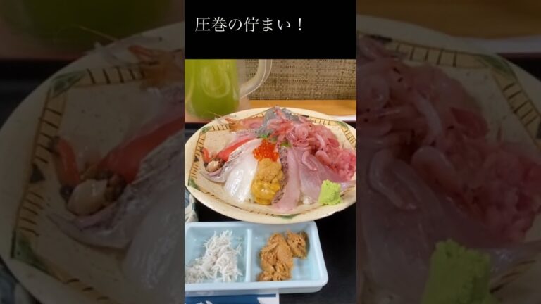 清水港のマグロ館で海鮮丼を食べてきましたよ😊