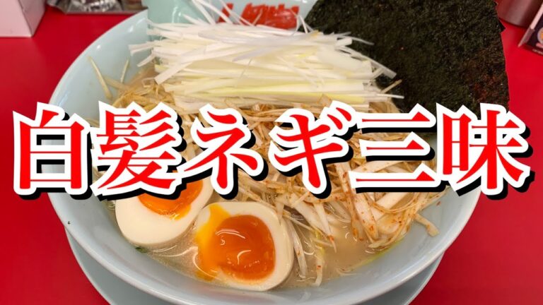 【山岡家】白髪ネギ三昧【醤油ピリ辛ネギラーメン】