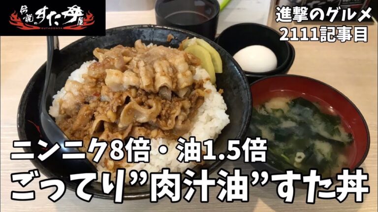 【ニンニク8倍】「伝説のすた丼屋」でごってり”肉汁油”すた丼・肉増し・飯増しを世界一詳しく調査しました【デカ盛り】【期間限定】【肉の日】