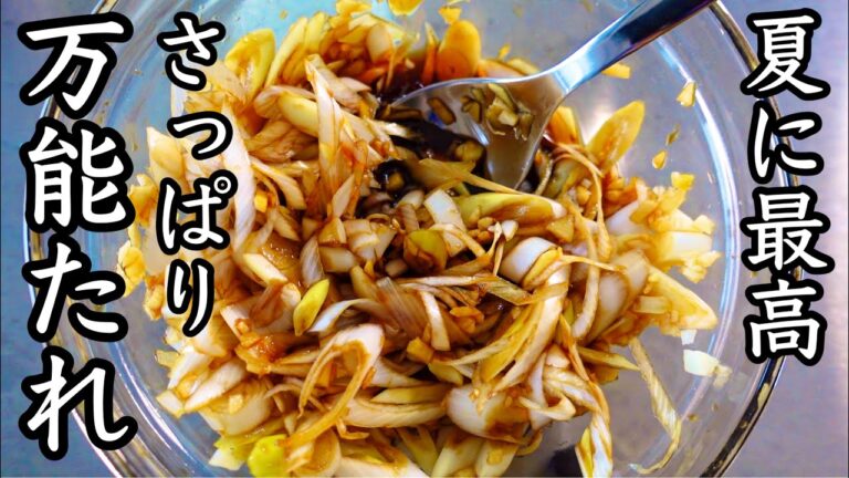 お酢とねぎの健康レシピ｜作り置きに｜香味野菜で栄養をプラス！夏バテ予防に