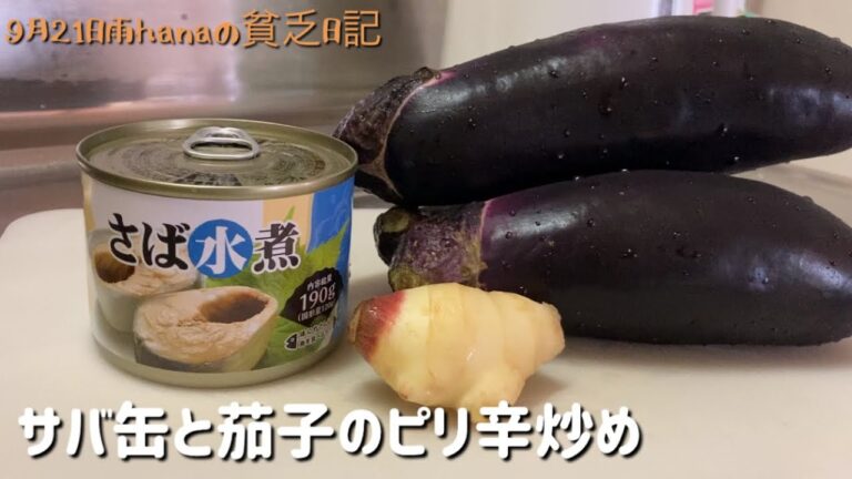 健康簡単料理/サバ缶とナスのピリ辛炒め