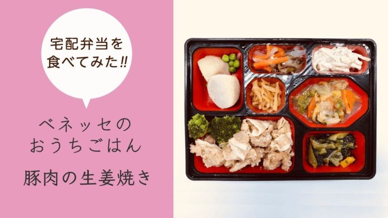 【ベネッセのおうちごはん】～豚肉の生姜焼き～まいにち七菜 を食べてみた！／Long ver.（2019/06/14）