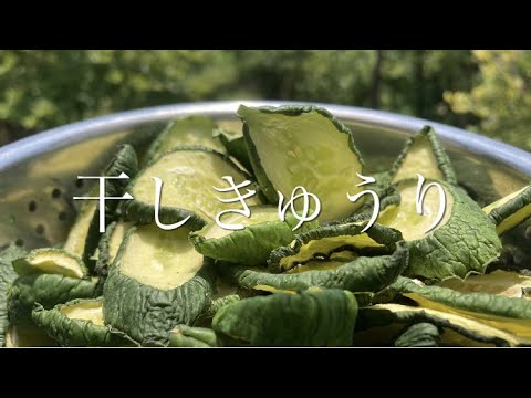 【干しきゅうり】・【干しきゅうりの炒め煮】きゅうりの大きさ・干す期間などの違いの動画