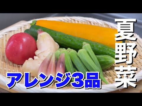 夏野菜３品！切って混ぜて完成！豚しゃぶ、そうめんサラダ、ズッキーニの旨だれナムル　簡単レシピ＆作り方