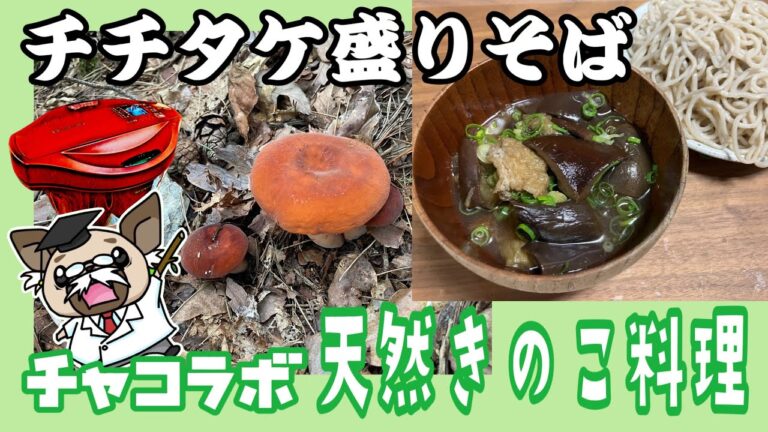 チチタケの盛りそば〜チャコラボ天然きのこ料理