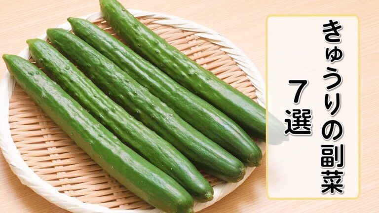 【きゅうりの副菜7選】人気の野菜を使った簡単レシピをご紹介♪