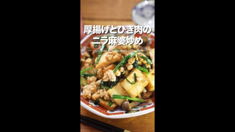 厚揚げとひき肉のニラ麻婆炒め