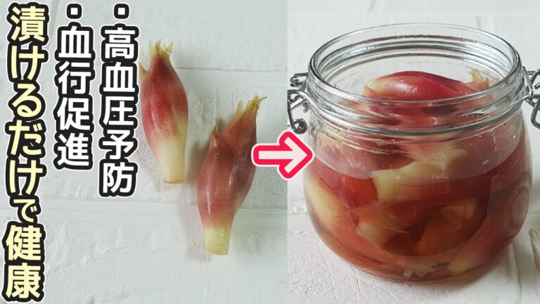 夏バテにはこれ！「みょうがの甘酢漬け」さわやかな酸味が食欲をそそります！冷房による冷えやむくみ解消にもおすすめ♪作り置きに便利です