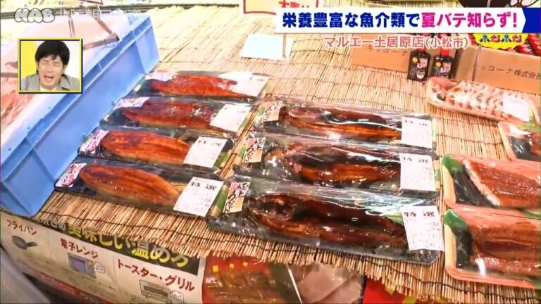 栄養豊富な魚介類で夏バテ知らず！