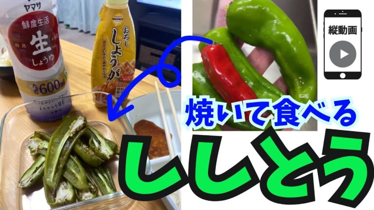 つまみに最高！ししとうを焼いて生姜と醤油で食べる。赤いの辛かった。。。【縦動画】