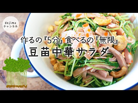 【時短】やみつき豆苗中華サラダの作り方　たった5分で仕上げる　茹でてもシャキシャキとした食感で無限に食べられます。　中華タレ仕上げ！＃出島チャンネル　＃出島クッキング