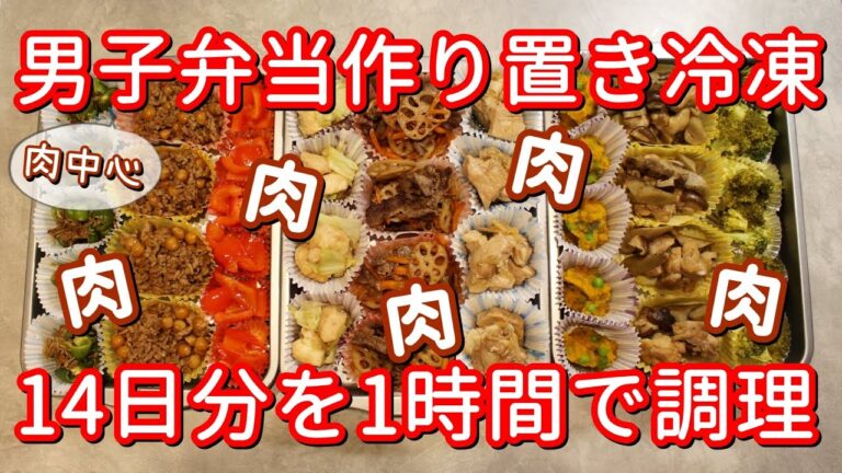 【冷凍保存レシピ】男子用肉弁当作り置き2週間分/1時間で10品